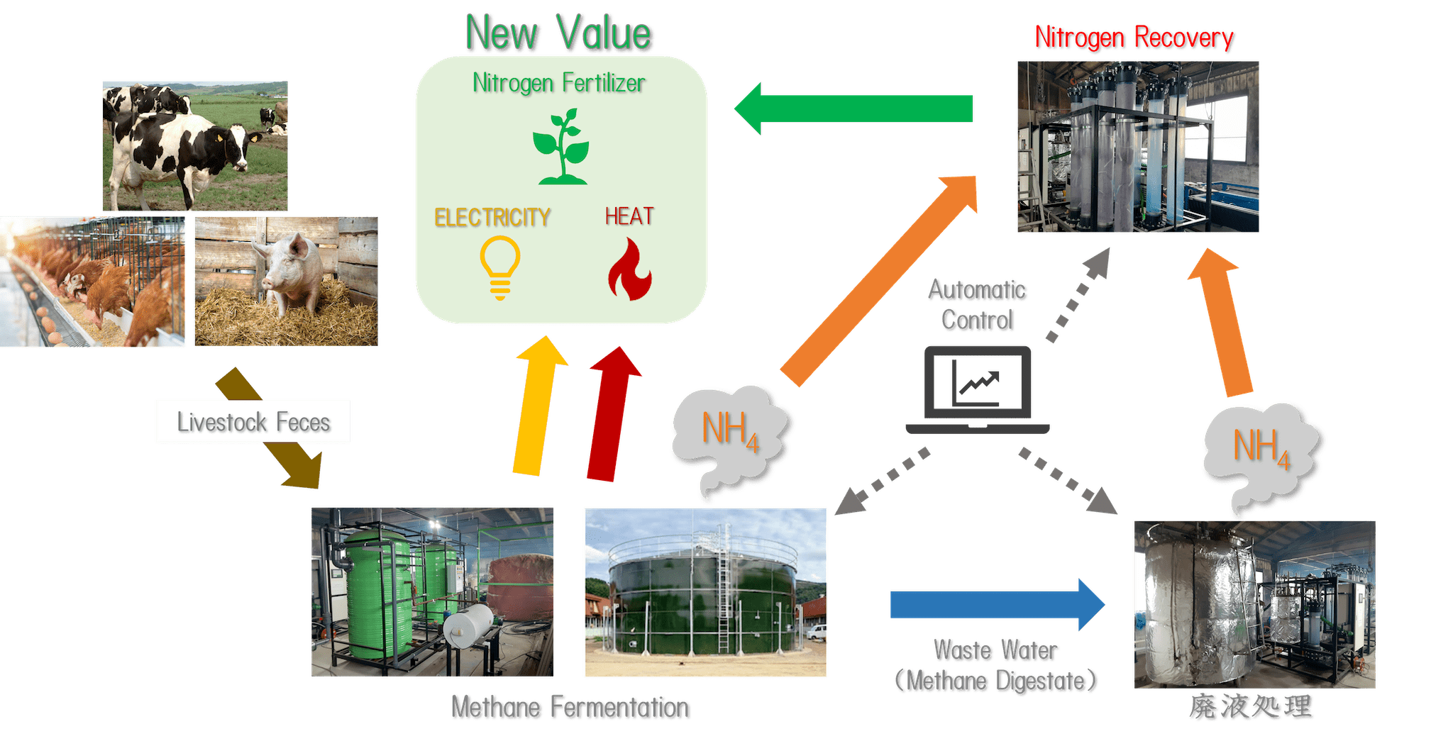 Poultry manure methane fermentation power generation and nitrogen fertilizer production